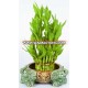 Home Decoration Tower Lucky Bamboo