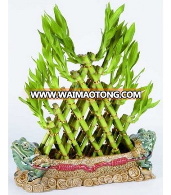 Pyramid 5 layer lucky bamboo