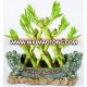 Pyramid 3 layer lucky bamboo